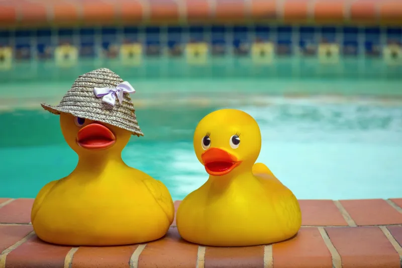 Splash, Dive, Waddle, Win: Ranking Cartoon Ducks by Their Actual Olympic Shot