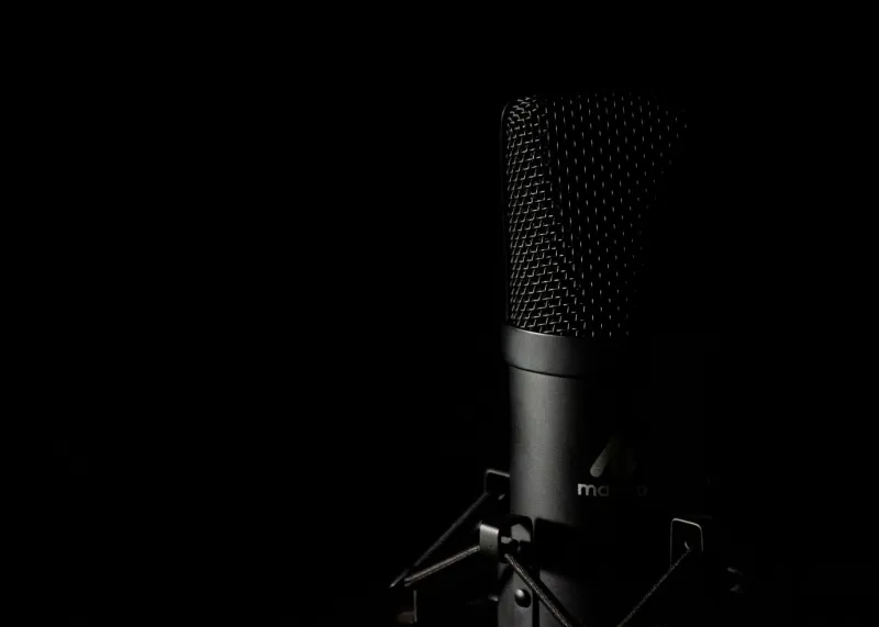 Say What?! The Magical, Ridiculous, and Totally Underrated World of Duck Voice Acting
