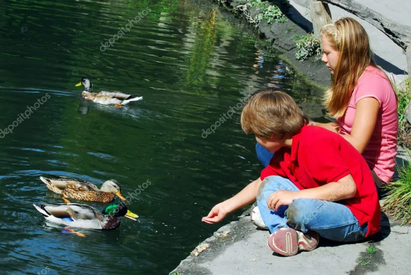 Every Quack Tells a Story: Teaching Kids to Listen Like a Duck Whisperer